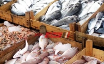 متوسط أسعار السمك بالكيلو في مصر اليوم الجمعة 25-2-2022