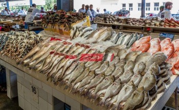 ارتفاع نسبي في أسعار الأسماك اليوم الأربعاء 23-3-2022 بعد رفع الدولار