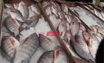 أسعار الأسماك بكافة انواعها اليوم الجمعة 2-4-2021 بأسواق مصر