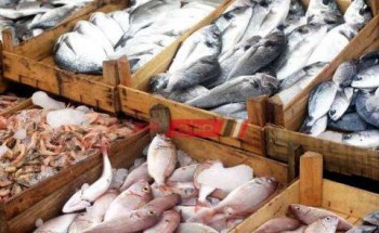 أسعار السمك والجمبري والكابوريا اليوم السبت 30-10-2021 في مصر