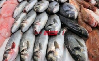 أسعار السمك لكل الانواع في مصر اليوم الثلاثاء 21-12-2021