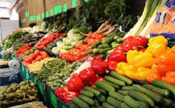 ننشر متوسط أسعار الخضروات لكل الانواع في الاسواق اليوم الخميس 31-8-2023 والبطاطس تسجل 8 جنيه