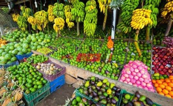 متوسط سعر كيلو الفاكهة في مصر لكل الأنواع اليوم السبت 6-11-2021