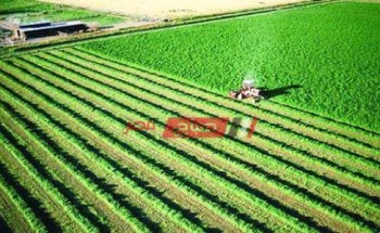 الزراعة: تطور البذور المقاومة لمرض الهالوك الذى يصيب الفول البلدى وحملة قومية لزيادة انتاج
