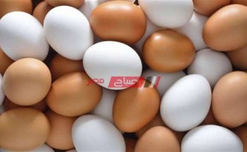 متوسط أسعار طبق البيض البلدي والاحمر في مصر اليوم السبت 23-4-2022