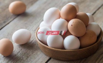 أسعار البيض الأحمر والبلدي اليوم السبت 27-3-2021 في مصر