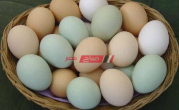 سعر كرتونة البيض في مصر اليوم الأربعاء 13-10-2021 بعد استقرار الاسعار