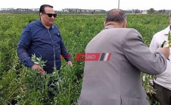 مديرية الزراعة بدمياط تطلق مبادرة لتجميع الألبان بنطاق المحافظة