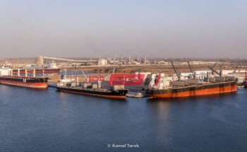 ميناء دمياط يعلن وصول 1607 طن خشب زان و 4100 طن ابلاكاش