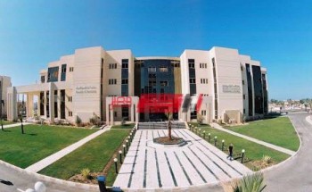 ما هي كليات جامعة سيناء فرع العريش العلمية والأدبية