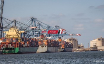 ميناء دمياط يعلن تفريغ شحنة عجول تسمين 5683 رأس بإجمالي وزن 1542 طن