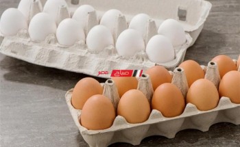 متوسط أسعار البيض اليوم الخميس 3-3-2022 بعد تغير الاسعار في السوق المصري