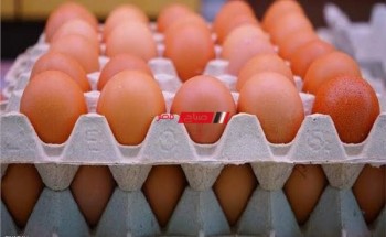 متوسط. أسعار البيض والدواجن للبيع للمستهلك اليوم الثلاثاء 14-6-2022