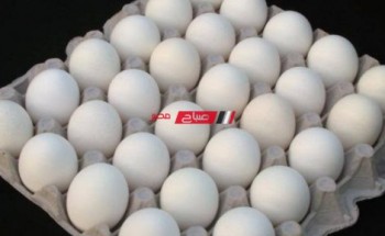 تفاصيل أسعار البيض بالكرتونة في مصر اليوم الأحد 10-4-2022  .. 9 رمضان
