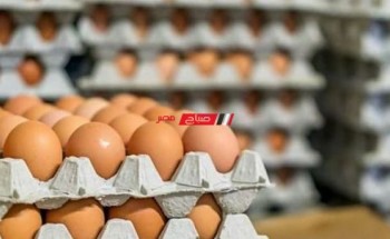 متوسط أسعار البيض اليوم السبت 9-4-2022 بالاسواق المصرية