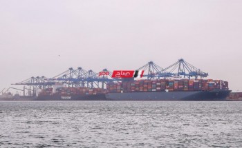 ميناء دمياط يعلن تفريغ شحنة عجول تسمين بإجمالي وزن 2151 طن