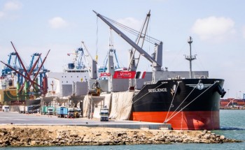 تفريغ شحنة خشب جديدة على ارصفة ميناء دمياط باجمالي 1514 طن ابلاكاش و 600 طن زان
