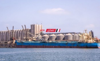 ميناء دمياط يستقبل 63 طن من القمح الروسي لصالح هيئة السلع التموينية