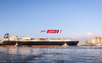 تفريغ شحنة اخشاب على ارصفة ميناء دمياط باجمالي 6566 طن ابلاكاش و 939 طن زان