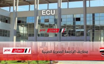 مصاريف الجامعة المصرية الصينية 2022 جميع الكليات علمي وأدبي