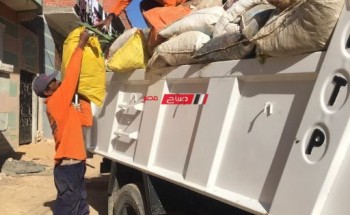 رفع 165 طن مخلفات وقمامة وأتربة بأحياء غرب والعامرية في الإسكندرية