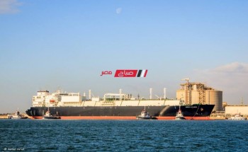 تصدير 11660 طن يوريا و 2100 طن مولاس عبر ميناء دمياط
