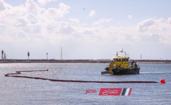 ارتفاع رصيد صومعة الحبوب والغلال للقطاع العام في ميناء دمياط من القمح الى 46 الف طن
