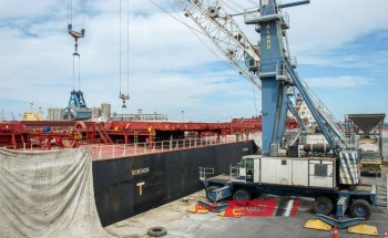 ميناء دمياط: تصدير 4397 طن جبس معبأ و 100 طن بصل معبأ خلال 24 ساعة