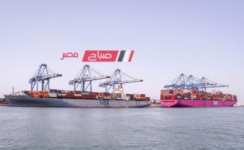ميناء دمياط: وصول حركة الصادر من الحاويات الى 1281 حاوية مكافئة