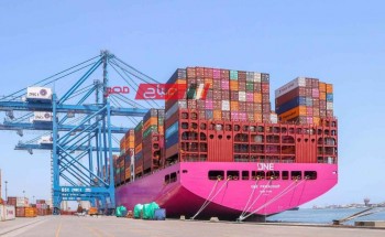 حركة الصادر من البضائع العامة داخل ميناء دمياط تسجل 21 الف طن خلال 24 ساعة