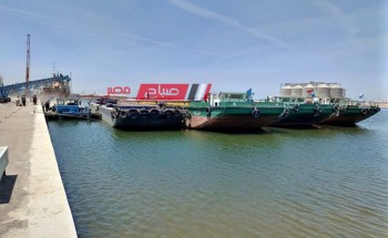 تصدير 478 طن رمل و4177 طن كلينكر عبر ميناء دمياط