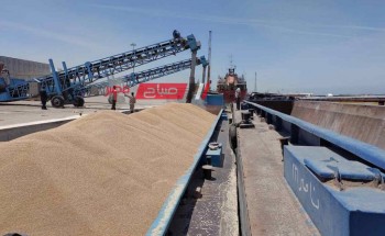 ارتفاع رصيد صومعة الحبوب والغلال للقطاع العام بميناء دمياط الى 159 الف طن قمح