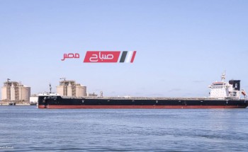 ميناء دمياط: وصول 63 الف طن قمح لصالح هيئة السلع التموينية عبر السفينة WADI ALMOLOUK