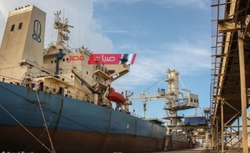 ميناء دمياط يستقبل 63 الف طن قمح عبر السفينة  WADI ALKARNAK