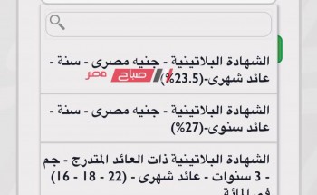 طريقة شراء شهادة البنك الأهلي المصري ذات عائد 27‎%‎ لمده عام.. اون لاين