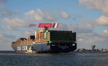 ميناء دمياط يستقبل 12 سفينة بضائع متنوعة خلال 24 ساعة