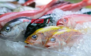 تعرف على متوسط أسعار الأسماك واللحوم اليوم الثلاثاء 14-5-2024 في اسواق البلاد