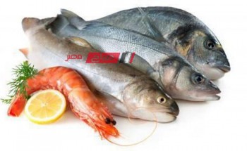 ننشر متوسط أسعار الأسماك واللحوم اليوم الخميس 16-5-2024 بالاسواق المصرية