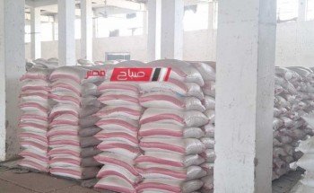 محافظ دمياط تكشف تفاصيل ضبط 611 طن ارز منتهى الصلاحية