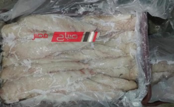صحة دمياط تعلن ضبط 60 كيلو من الاسماك السامة قبل بيعها للمواطنين