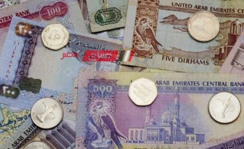 استقرار أسعار الدرهم الإماراتي اليوم الاثنين 20-5-2024 بالتعاملات الرسمية