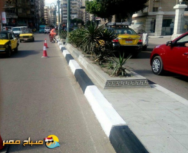 تشجير عدد من الشوارع بحي شرق فى الإسكندرية