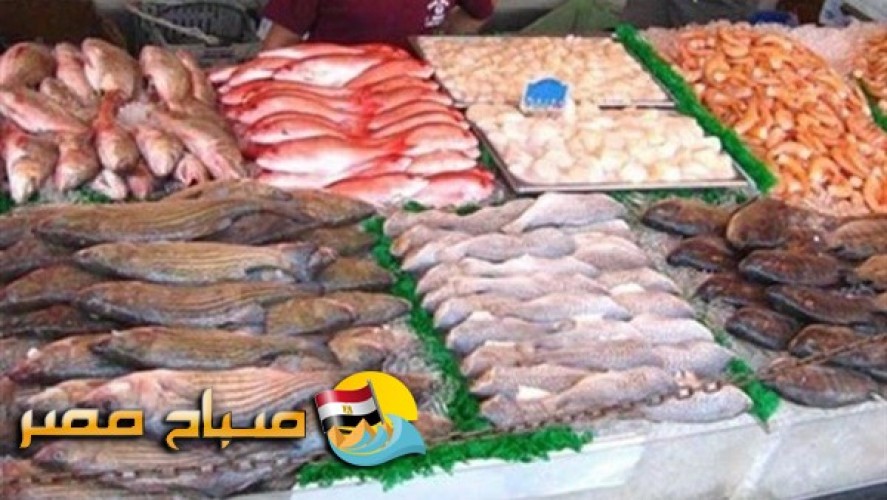اسعار الاسماك فى اسواق محافظة الشرقية اليوم الجمعة