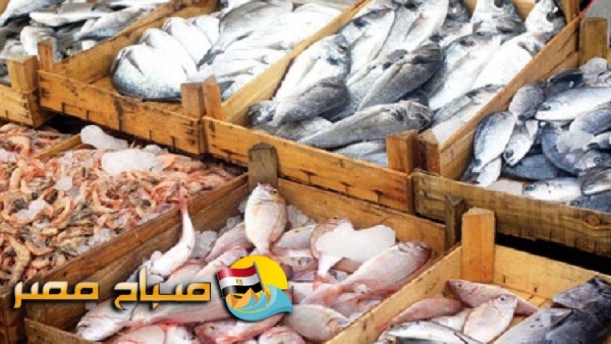 اسعار الاسماك اليوم الأربعاء 27-6-2018 بمحافظة الإسكندرية