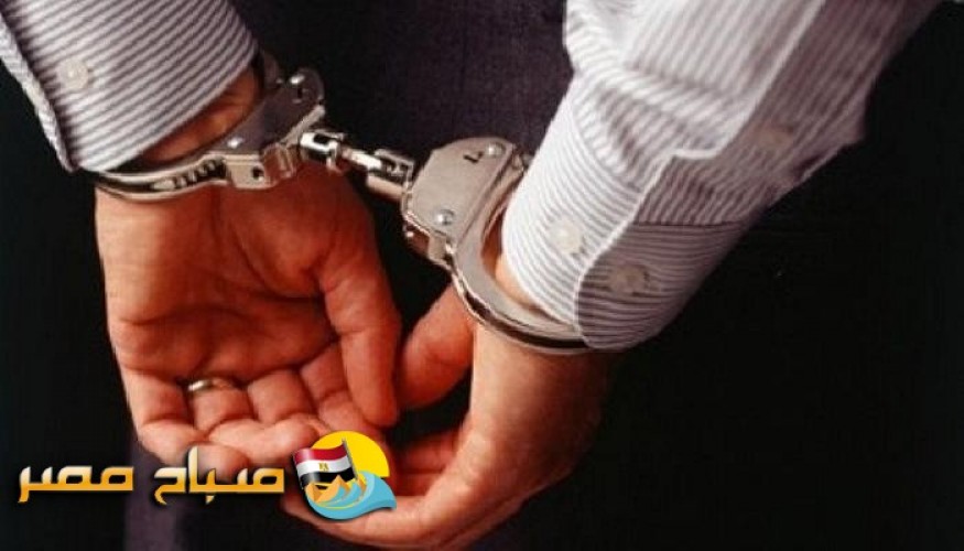 القبض على 14 تاجر مخدرات في حملة أمنية مكبرة بمحافظة القليوبية