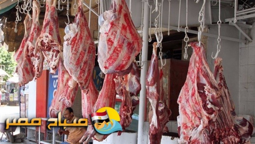 اسعار اللحوم البلدى و المستوردة فى بنى سويف اليوم  الخميس