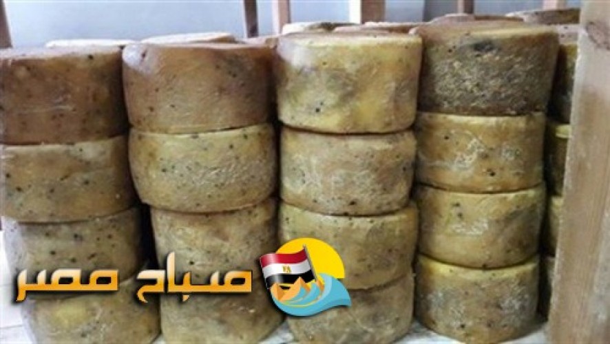 ضبط سلع غذائية غير صالحة و3 طن جبن فاسد بالرمل فى الاسكندرية