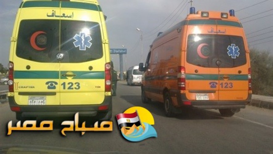 مصرع 5 واصابة 3 آخرين فى حادث تصادم سيارتين بطريق الاسكندرية الزراعي