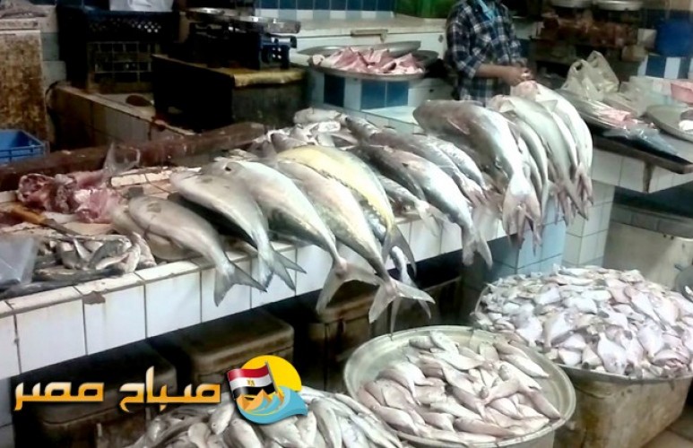اسعار الاسماك اليوم الخميس 10-5-2018 بمحافظة الإسكندرية
