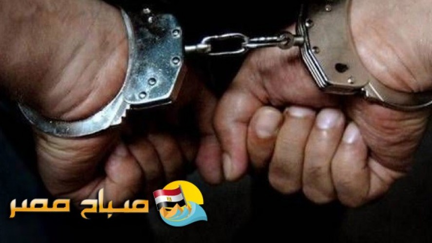 حبس متهمان لإدخالهما 10 طن حشيش عبر ميناء الإسكندرية